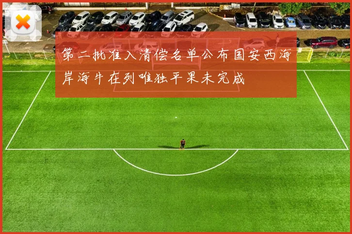第二批准入清偿名单公布国安西海岸海牛在列唯独平果未完成