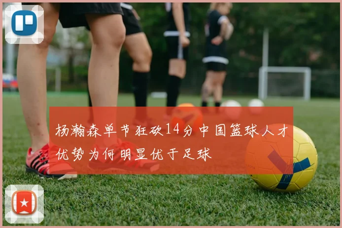 杨瀚森单节狂砍14分中国篮球人才优势为何明显优于足球