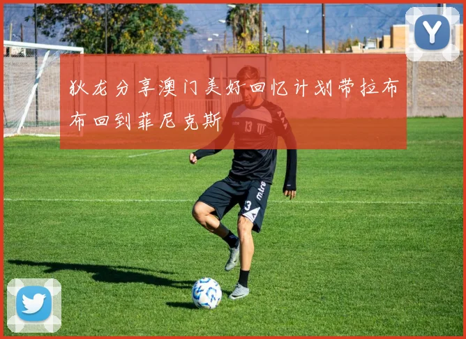 狄龙分享澳门美好回忆计划带拉布布回到菲尼克斯
