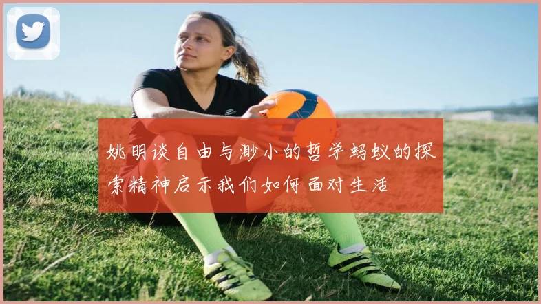 姚明谈自由与渺小的哲学蚂蚁的探索精神启示我们如何面对生活