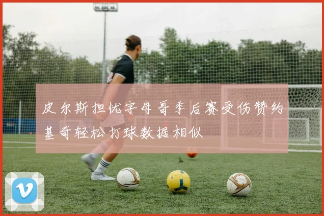 皮尔斯担忧字母哥季后赛受伤赞约基奇轻松打球数据相似