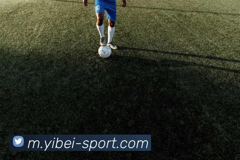 易倍体育发展历程